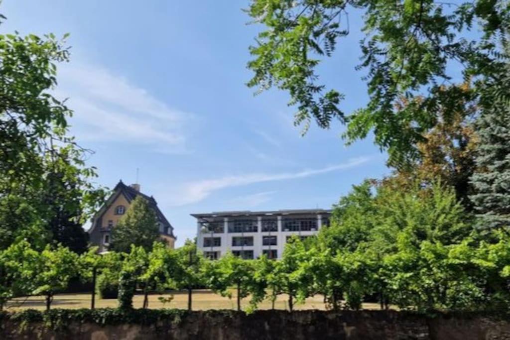 Wohnwerk: Penthouse - Moselblick Lejlighed Traben-Trarbach Eksteriør billede